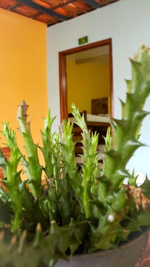 Pousada Pe De Serra Mucugê Buitenkant foto